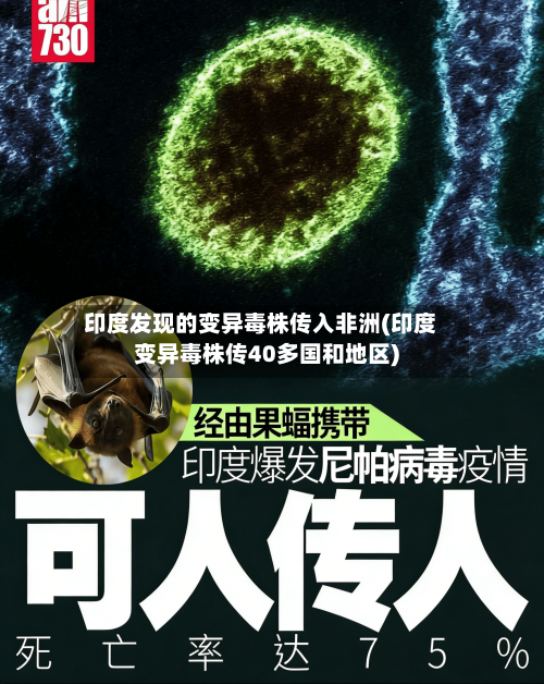 印度发现的变异毒株传入非洲(印度变异毒株传40多国和地区)-第2张图片
