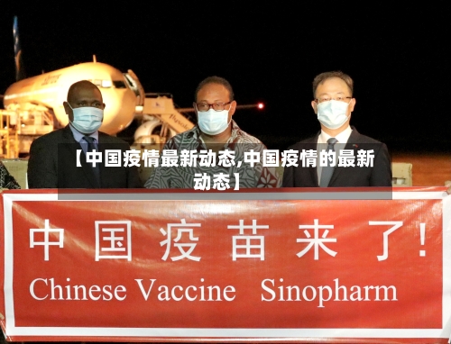 【中国疫情最新动态,中国疫情的最新动态】-第3张图片