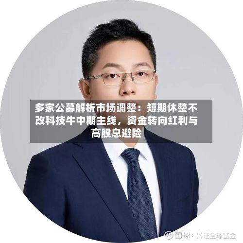 多家公募解析市场调整：短期休整不改科技牛中期主线	，资金转向红利与高股息避险-第2张图片