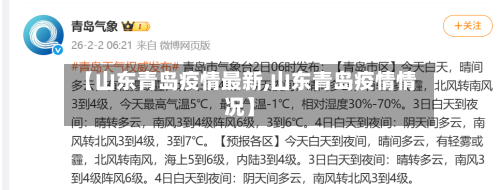 【山东青岛疫情最新,山东青岛疫情情况】-第2张图片