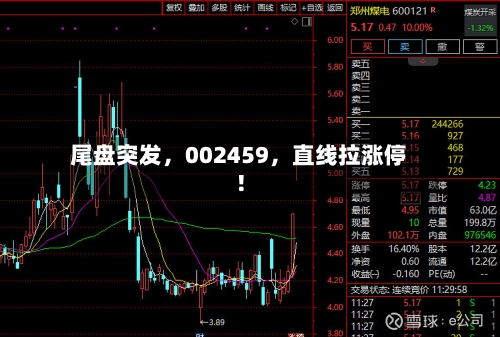 尾盘突发，002459	，直线拉涨停！-第2张图片