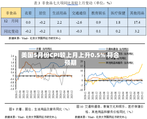 美国5月份CPI较上月上升0.5% 符合预期-第3张图片