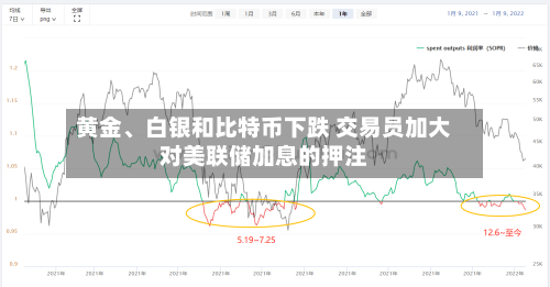 黄金、白银和比特币下跌 交易员加大对美联储加息的押注-第2张图片