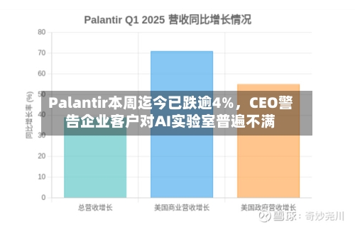Palantir本周迄今已跌逾4%，CEO警告企业客户对AI实验室普遍不满-第2张图片