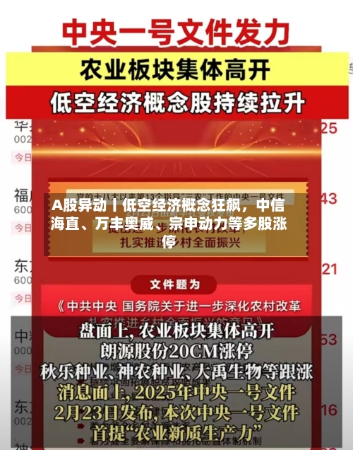 A股异动丨低空经济概念狂飙，中信海直、万丰奥威	、宗申动力等多股涨停-第2张图片