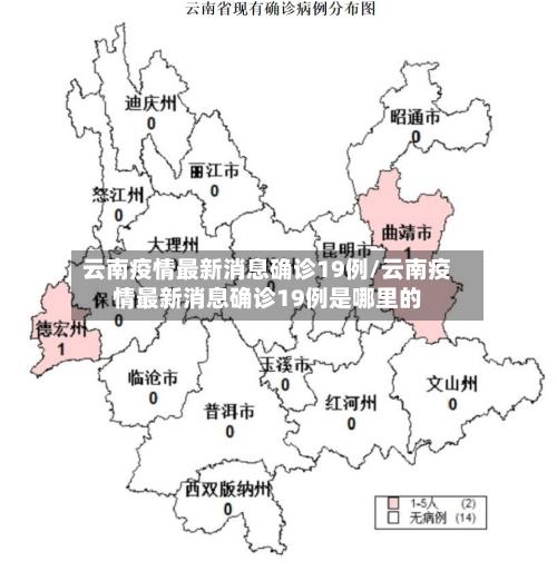云南疫情最新消息确诊19例/云南疫情最新消息确诊19例是哪里的-第2张图片
