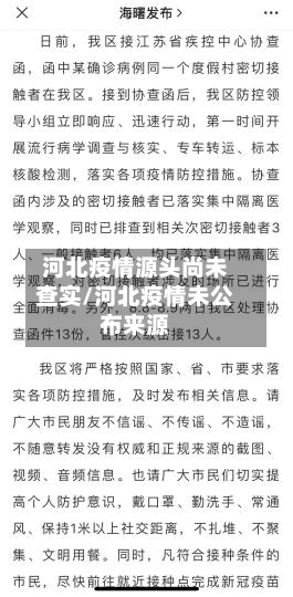 河北疫情源头尚未查实/河北疫情未公布来源-第3张图片