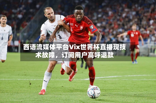 西语流媒体平台Vix世界杯直播现技术故障	，订阅用户高呼退款-第2张图片
