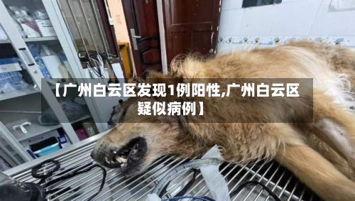 【广州白云区发现1例阳性,广州白云区疑似病例】