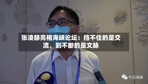 张凌赫亮相海峡论坛：挡不住的是交流，割不断的是文脉-第3张图片