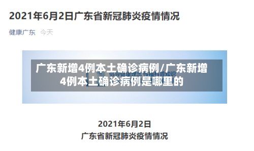 广东新增4例本土确诊病例/广东新增4例本土确诊病例是哪里的
