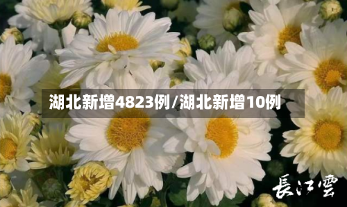 湖北新增4823例/湖北新增10例