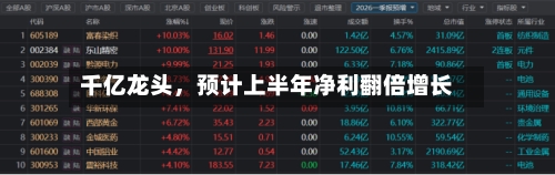 千亿龙头，预计上半年净利翻倍增长-第2张图片